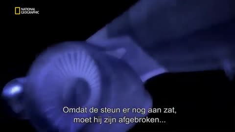 Bijlmer ramp documentaire