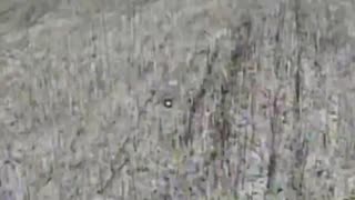 Russian Soldier Crossing No-Man's Land Survives The First One