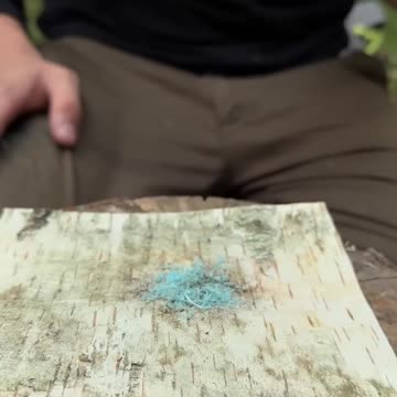 Bushcraft skills #bushcraft #survival #camping #outdoors #forest #shorts