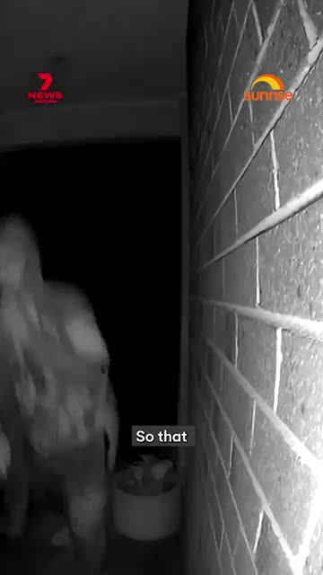 An MP in Victoria is calling for a self-defence law overhaul after a record year for home invasions.