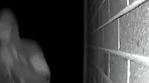 An MP in Victoria is calling for a self-defence law overhaul after a record year for home invasions.