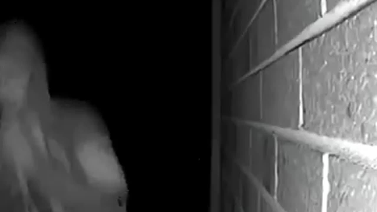 An MP in Victoria is calling for a self-defence law overhaul after a record year for home invasions.