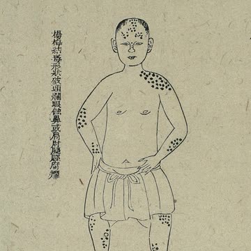 Morbid Curiosities 010