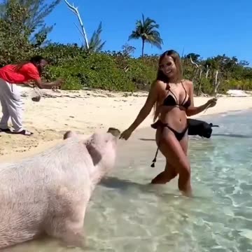 Everything reminds me of her