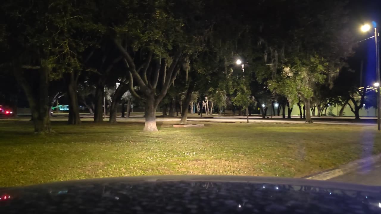 SEARCHING FOR 1 GOOD COP