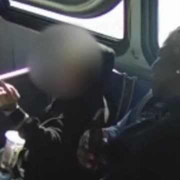 70-Year-Old Lady Brutally Assaulted on a Bus in Florida After Asking a Fat Thug to Stop Bumping Her
