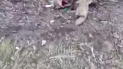 Ukrainian soldiers