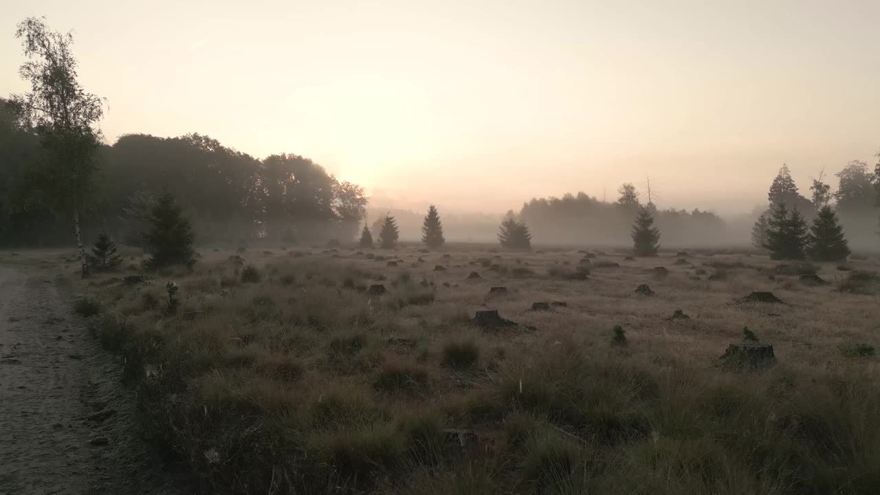 Nature Meditation with 432Hz Healing Frequency | Forest Sounds for Deep Relaxation & Grounding 🧘♀️🍃