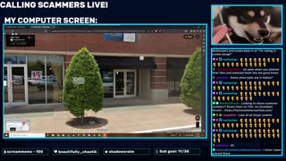 CALLING SCAMMERS LIVE!