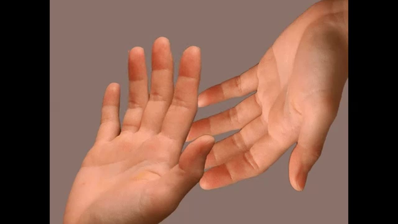 HANDZ
