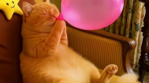 Funny Cat Blows Balloon Until It Pops 🎈➡ Turns Into Colorful Donut & Sprinkle Rain