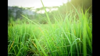 Lord Winter - Touch Grass