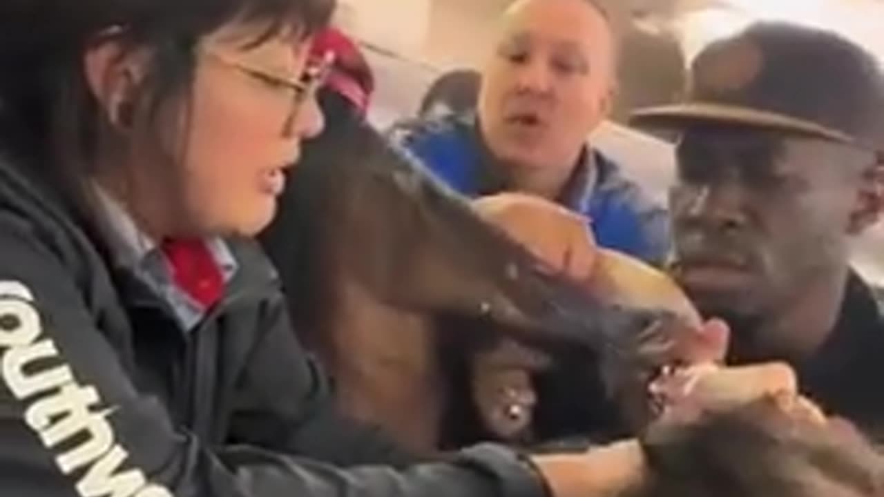 EVIL JEWESS IS DETAINED ON A FLIGHT