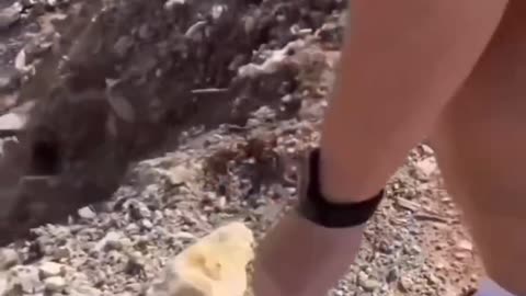 Funny video
