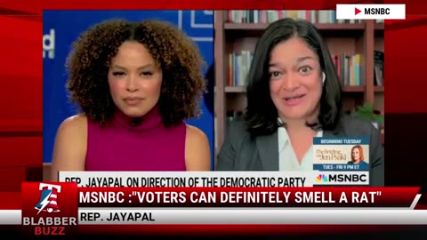 MSNBC :"Voters Can Definitely Smell A Rat"