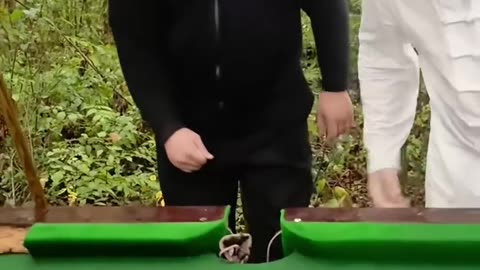Funny video
