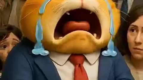 Orange Fat Cat Cries at Meow Meow Sad Song ww