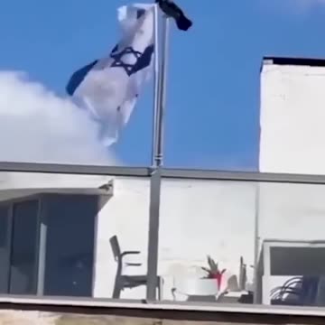 Crow throwing down Israel flag goes viral on the internet