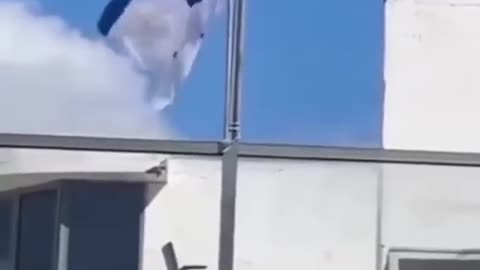 Crow throwing down Israel flag goes viral on the internet