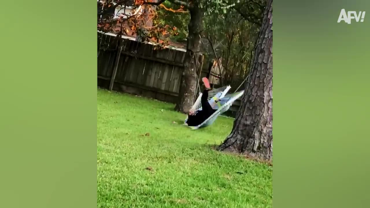 Funny videos