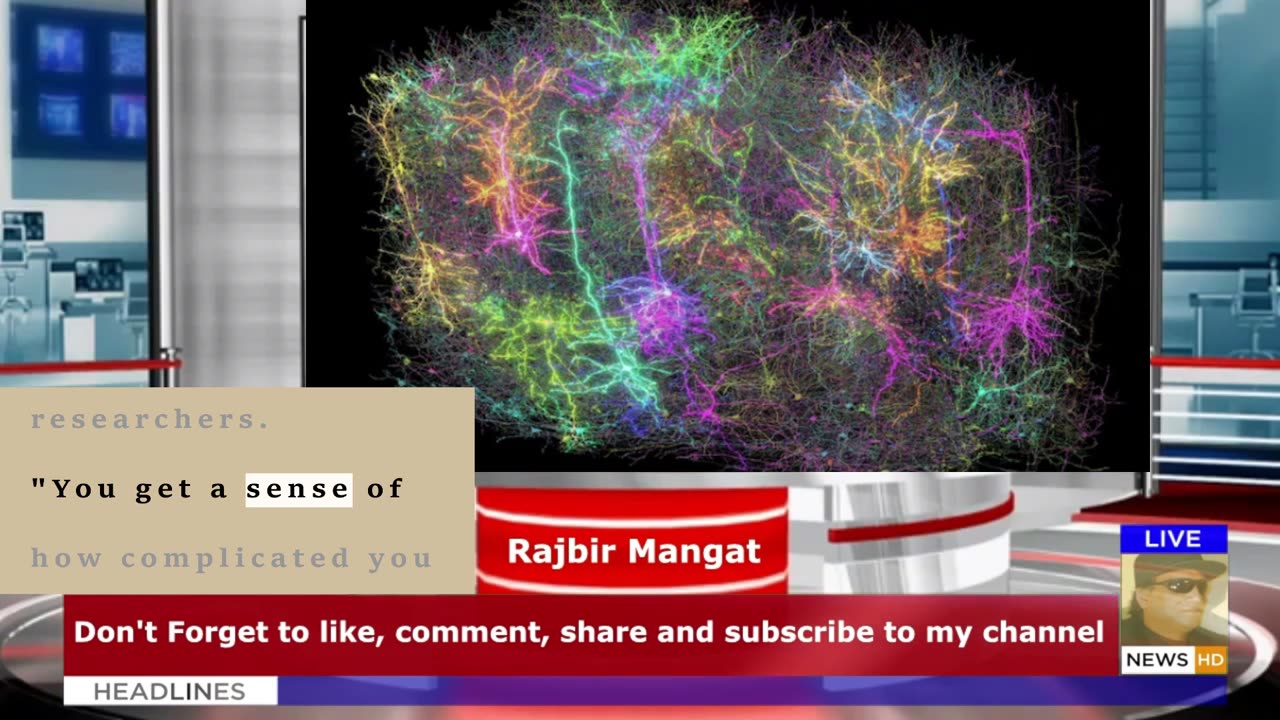 This isn't a galaxy — it's a map of a mouse's brain