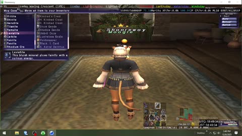 Playing Final Fantasy XI Online