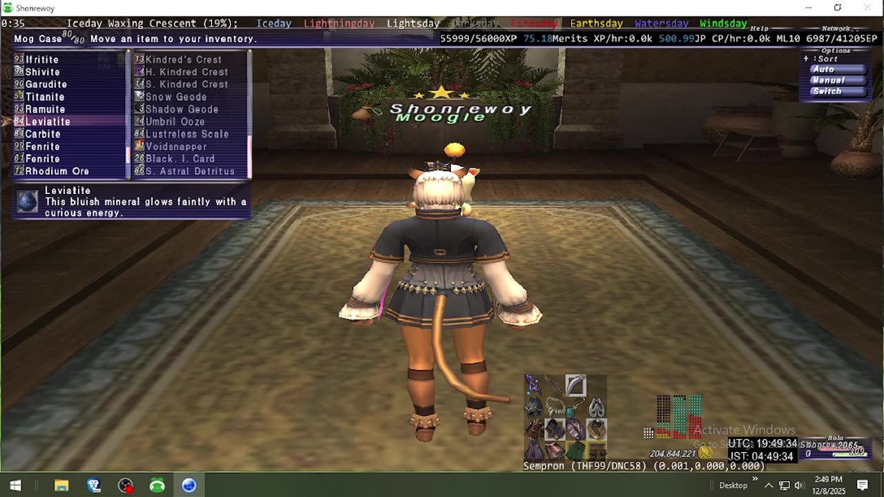 Playing Final Fantasy XI Online