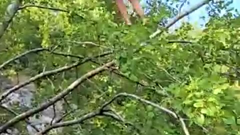 Amazing: Best fails of 2024