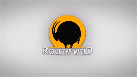 📹 8 Rollin' Wild
