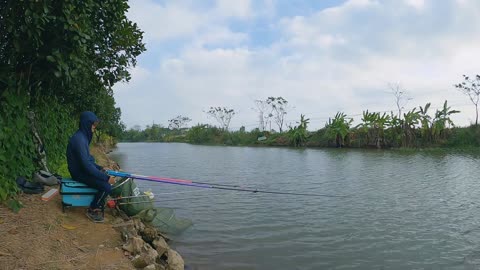 My Best Day Catching Chub by the Riverbank