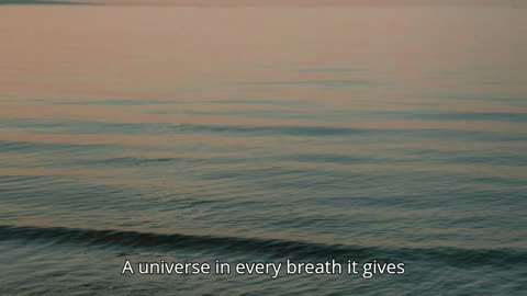 Dream Song V2