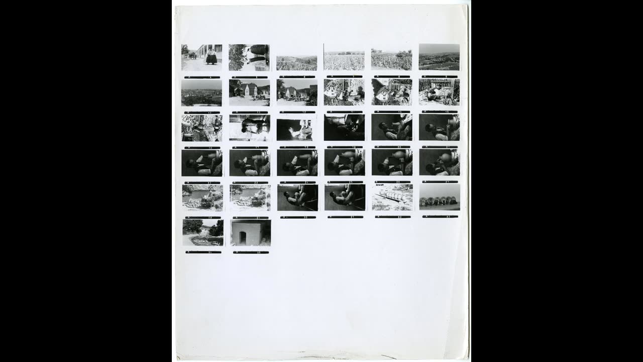 #3 Photographs taken by Waffen-SS Photographers Waffen-SS units on the Eastern and Western Fronts )