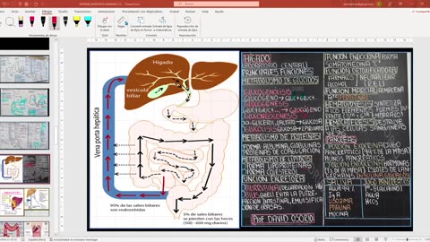 SAVIA REGULAR 2025 | Semana 10 | Anatomía