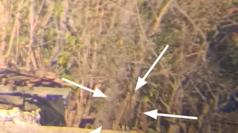 🔫🎯 Myanmar War | Central Region Task Force Sniper Operations Kill 19 Junta Troops | RCF