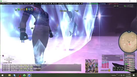 Playing Final Fantasy XI Online