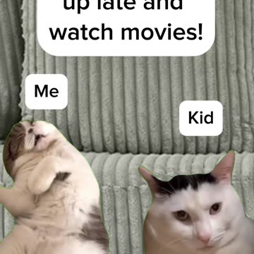 Should I let my kids stay up late?