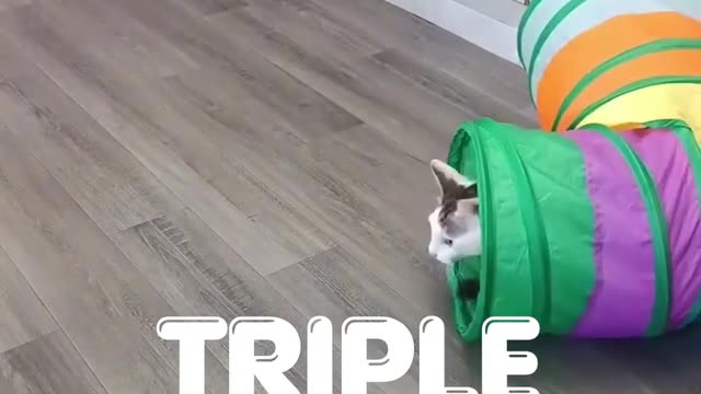 3-Way Cat Tunnel