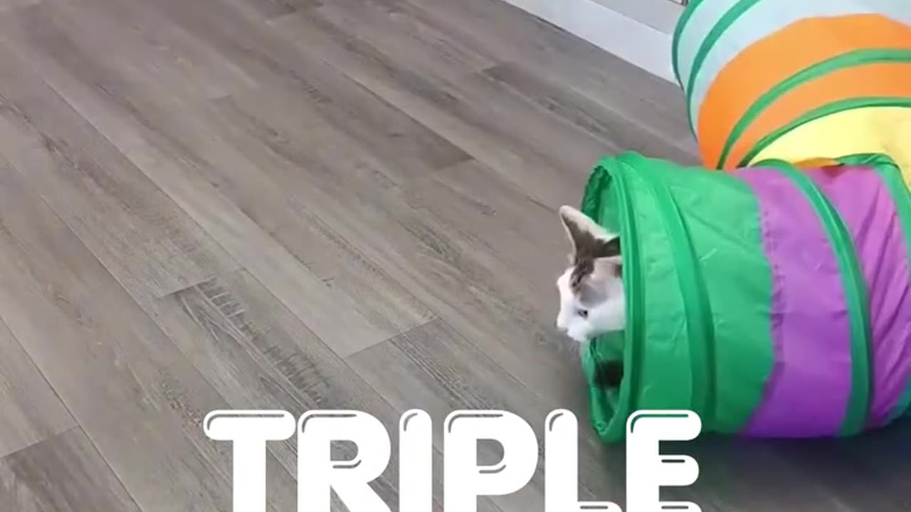 3-Way Cat Tunnel