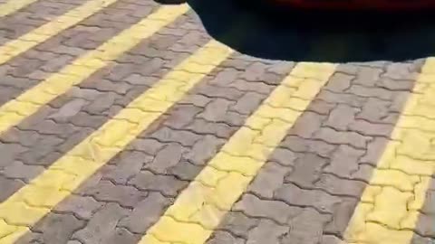 🏎️💨 The Most EXCITING Car Collection You'll See! | LuxurySportsCars