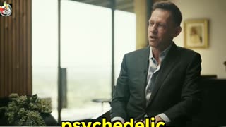 Burning Man vs. Apocalyptic Change - Peter Thiel and Jordan Peterson #stasis #technology