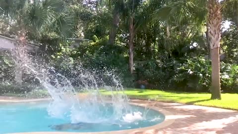 Funniest Water Fails 😂