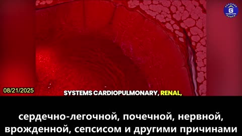 【RU】Вакцины от КОВИД-19 наносят катастрофический вред нескольким поколениям