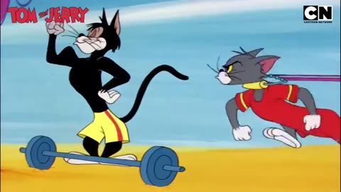 Tom and Jerry funny fight