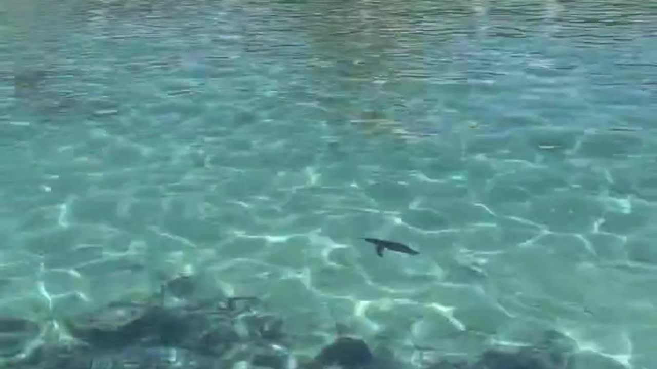 Am I dreaming? Is this life?