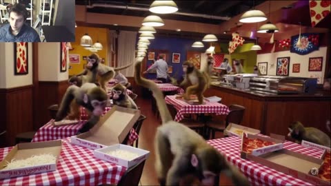 Outtake #1,090 Of Over 5 Monkeys Roam Around A Pizza Restaurant Fake Funny Parody Video