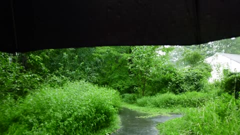 Refreshing Monsoon Rain Walk in a Beautiful Village of Kerala | ASMR Rain Sounds for Deep Sleep