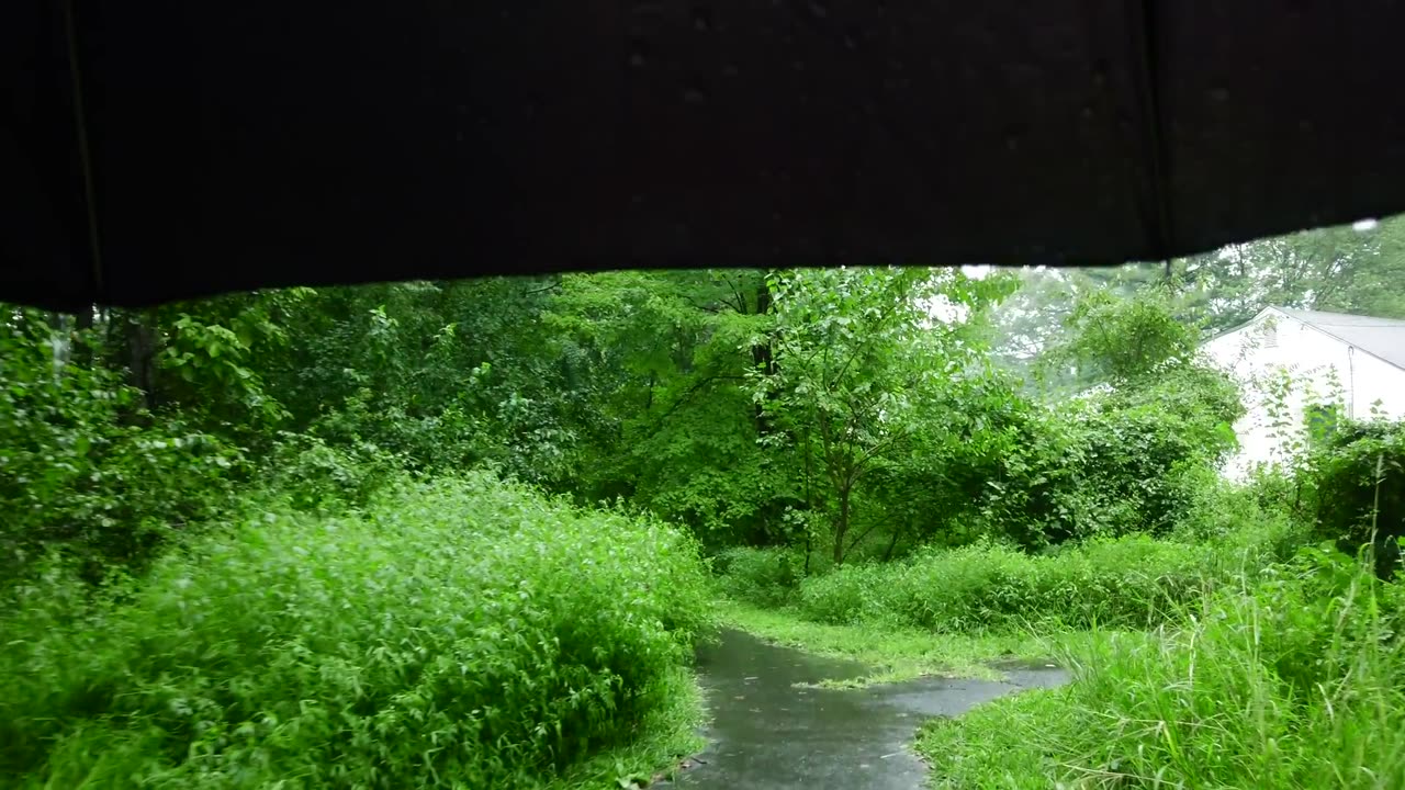 Refreshing Monsoon Rain Walk in a Beautiful Village of Kerala | ASMR Rain Sounds for Deep Sleep