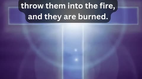 Journey of faith and spiritual growth John 15:6 Daily Bible Verse