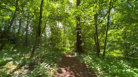 Chill Breeze – Cozy Afternoon Lofi