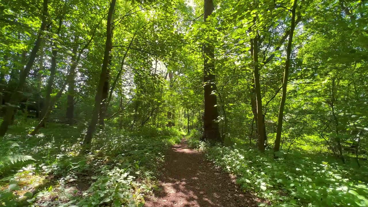 Chill Breeze – Cozy Afternoon Lofi